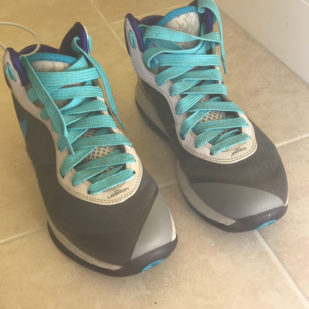 LeBron 8 Hornets