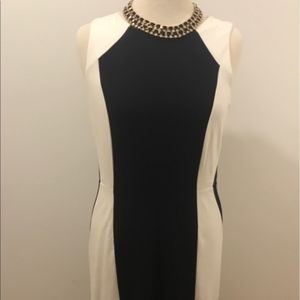 Flattering Ann Taylor Dress