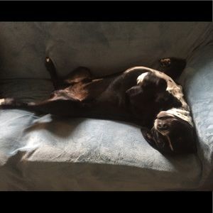 Meet your Posher, Sue