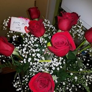 Meet your Posher, Elsa