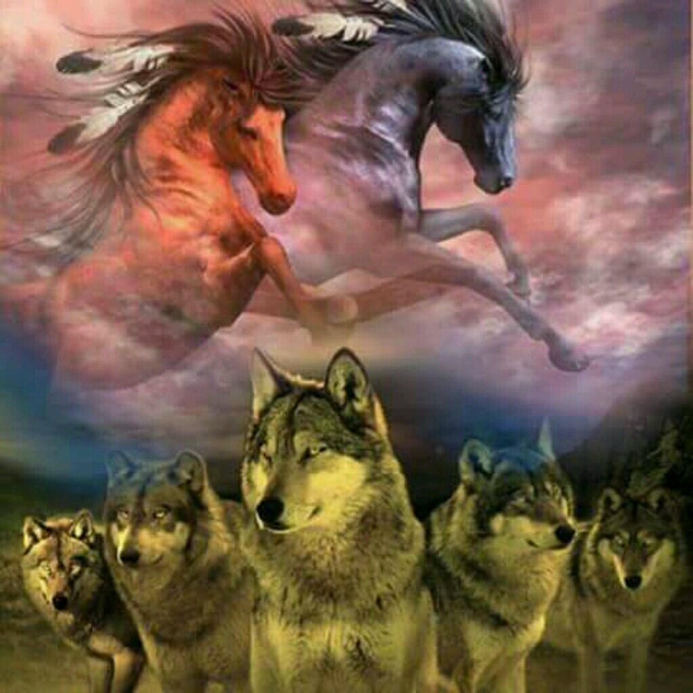 Meet your Posher, Susie