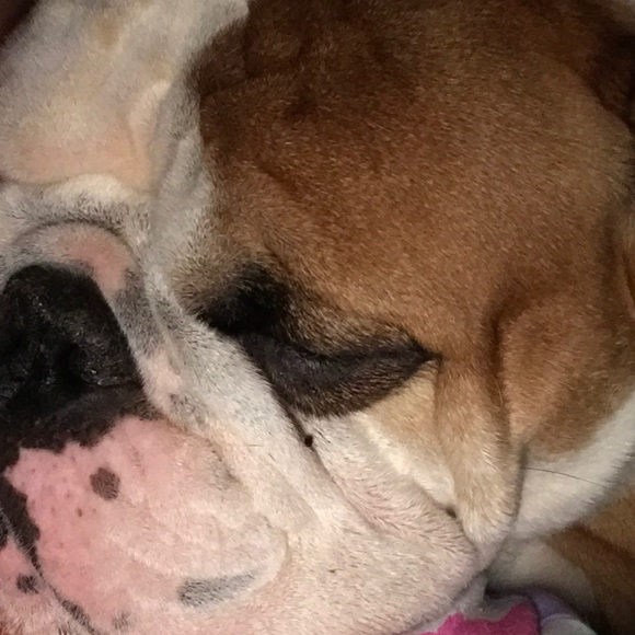 Meet your Posher, Joana - Picture 1 of 1