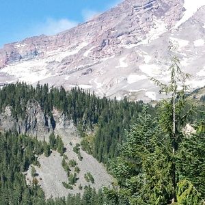 Meet your Posher, Flor