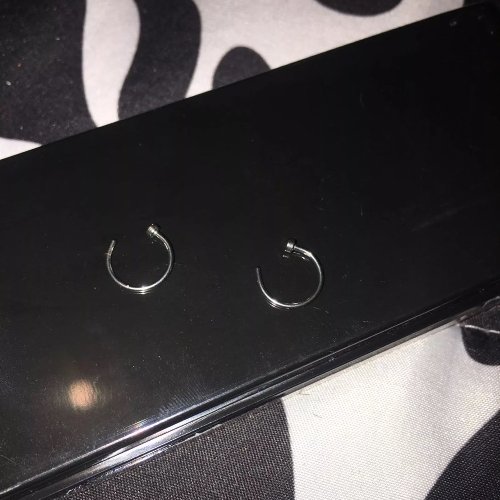 2 nose rings