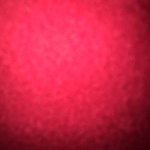 Meet your Posher, Fred