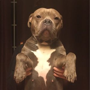 Meet your Posher, Tracie