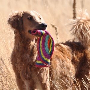 Meet your Posher, Montse