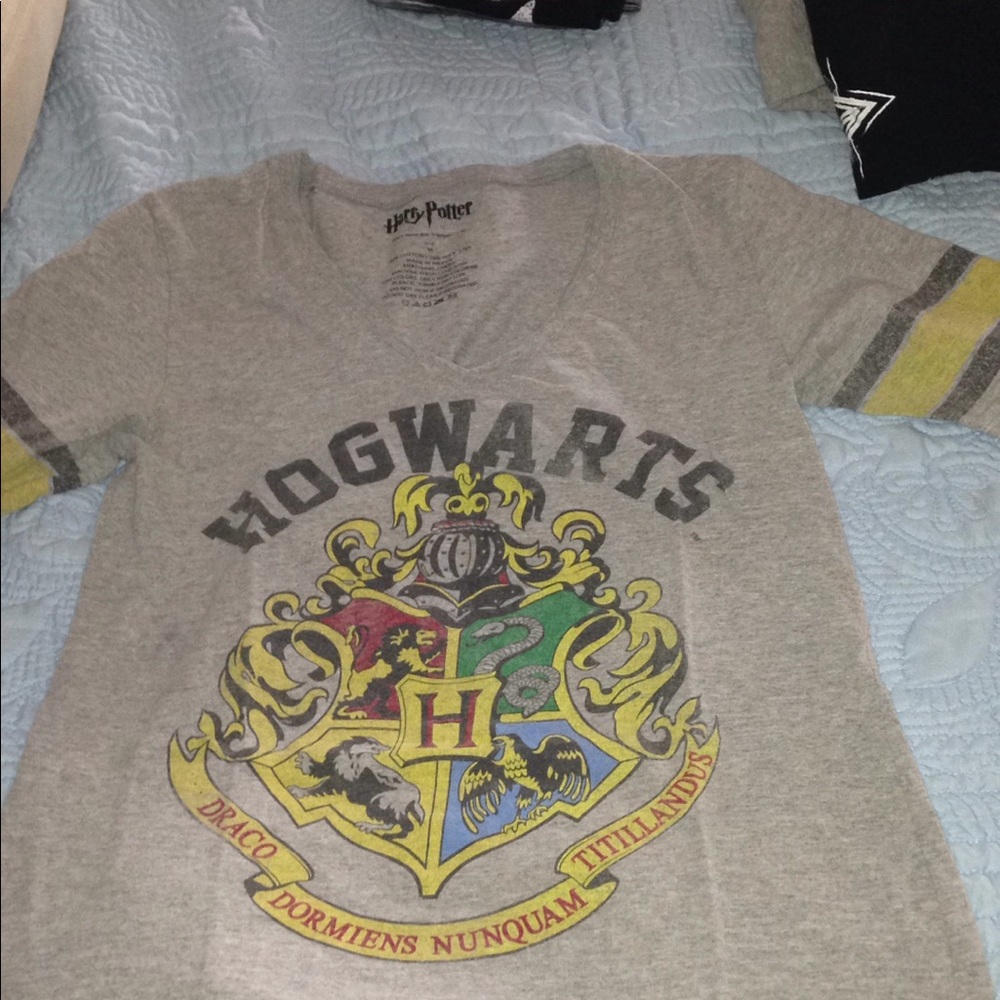 Harry Potter hogwarts houses tee