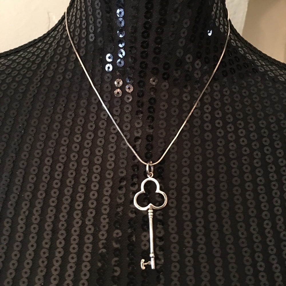 Sterling silver necklace - Picture 1 of 4