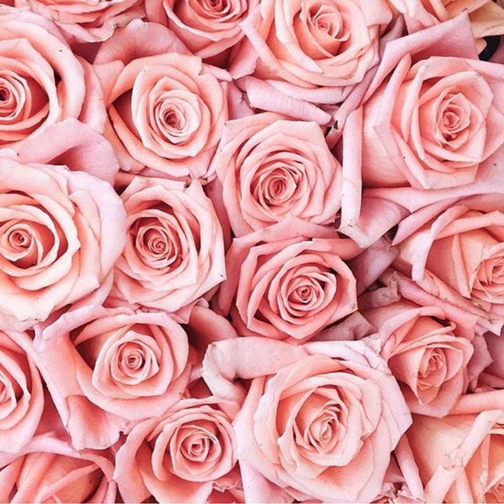 Meet your Posher, Maddi