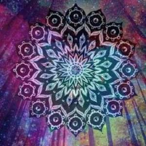 Meet your Posher, Ashton