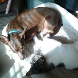 Mr. Winnie and slinky