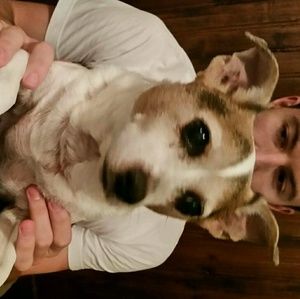 Meet your Posher, Diane