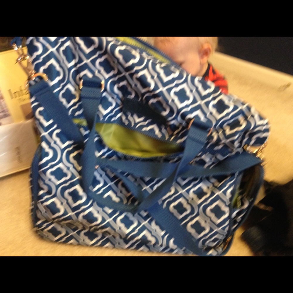 Sarah wells breast pump bag
