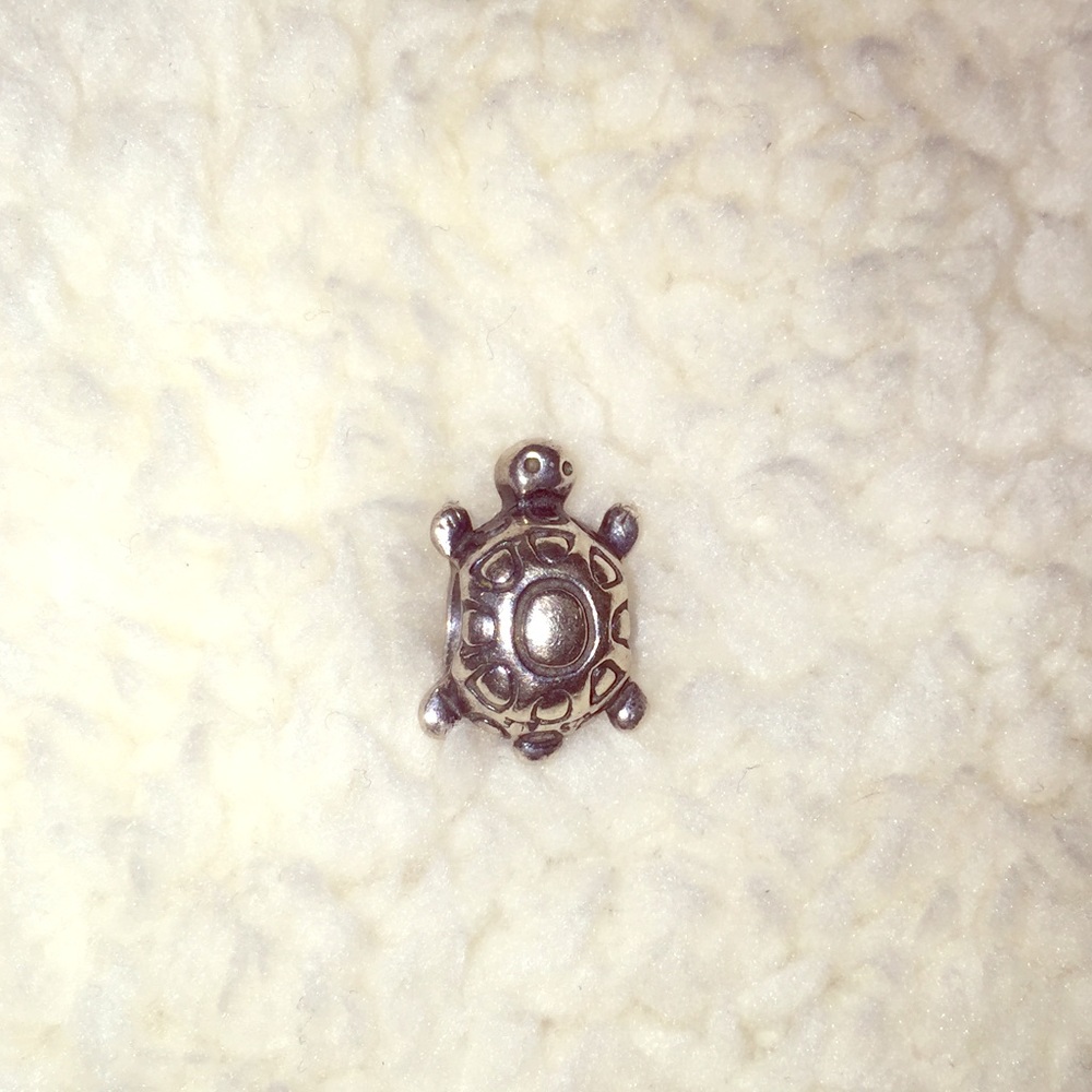 Pandora turtle charm
