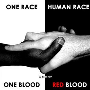 Meet your Posher, Trend