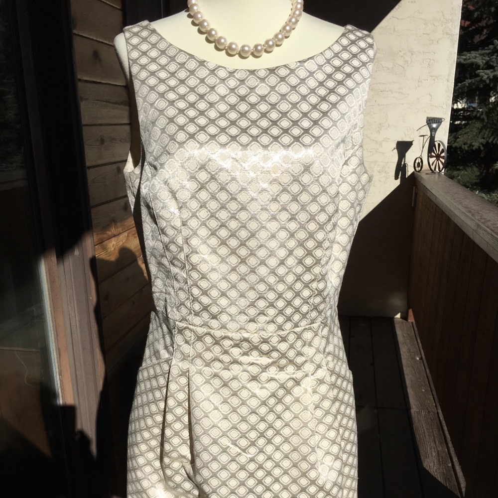 Sophisticated mini dress- great for the holidays