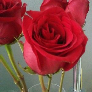 Meet your Posher, Monique