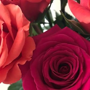 Meet your Posher, Cynthia