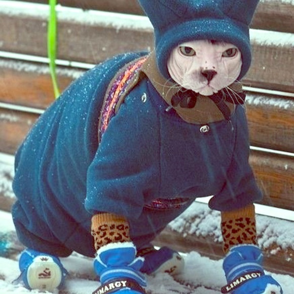 Other - BUNDLE UP 😝 MEOW 🐱