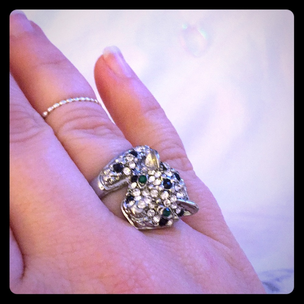Silver and Gemstone Tiger Ring
