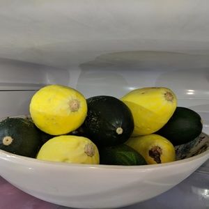 Squash