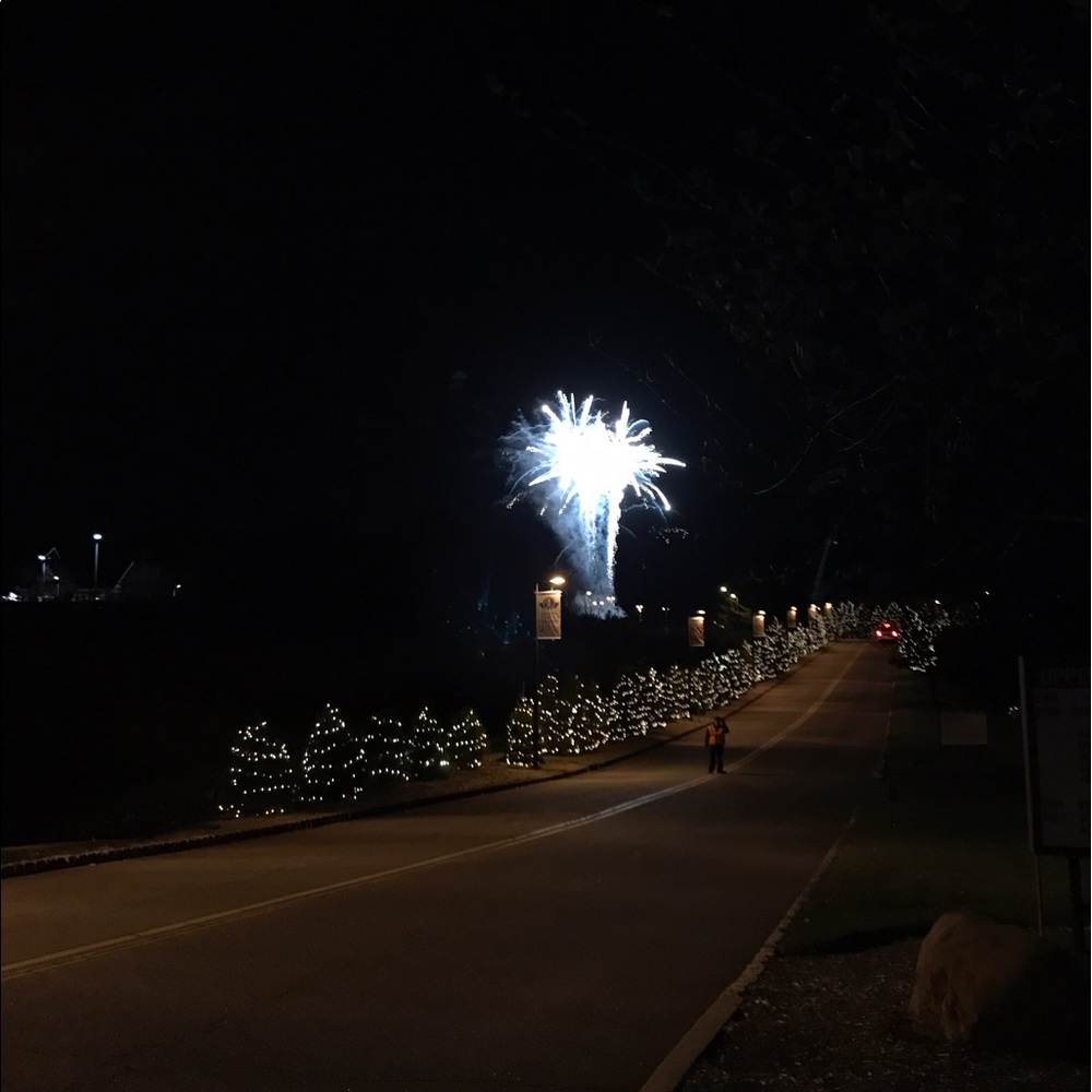 Meet your Posher, Morgan rose