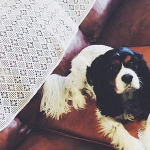 Meet your Posher, Jenna