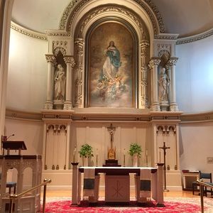 Meet your Posher, Elyse