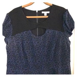 Black & Navy Leopard Fit & Flare