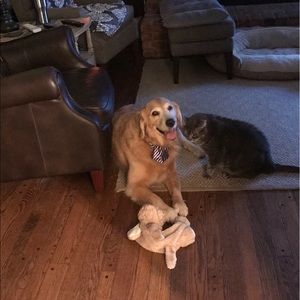 Meet your Posher, Judy