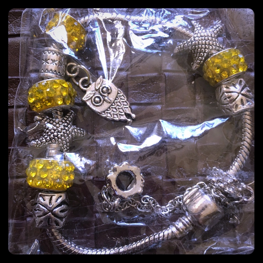 NWT Pandora style charm bracelet bracelet