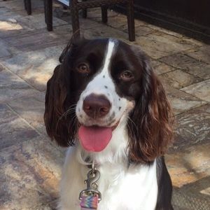 Meet your Posher, Lucy