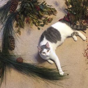 Meet your Posher, Tonya