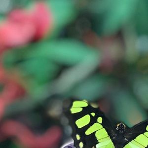 Meet your Posher, Marta