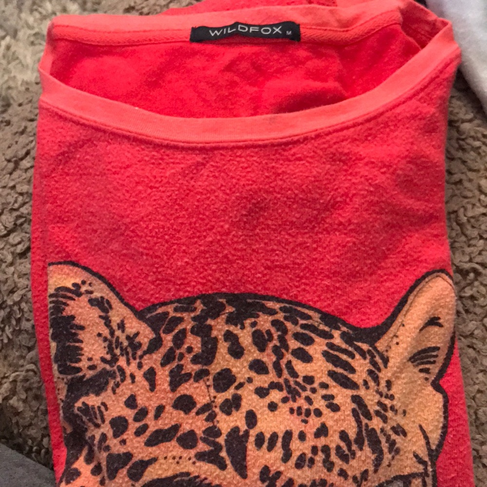 Wildfox sweatshirt
