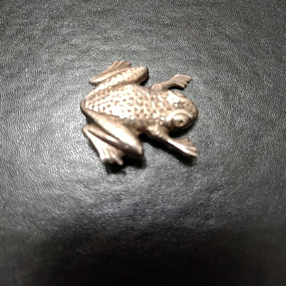 Jewelry - ***  Silver tone frog pin