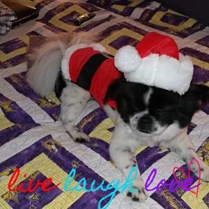 Meet your Posher, Melanie