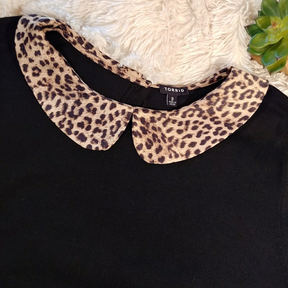 Torrid Size 3 Leopard Print Peter Pan Sweater