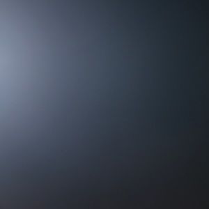 Meet your Posher, Shanelle