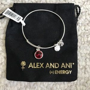 Alex and Ani January Birthstone Bracelet