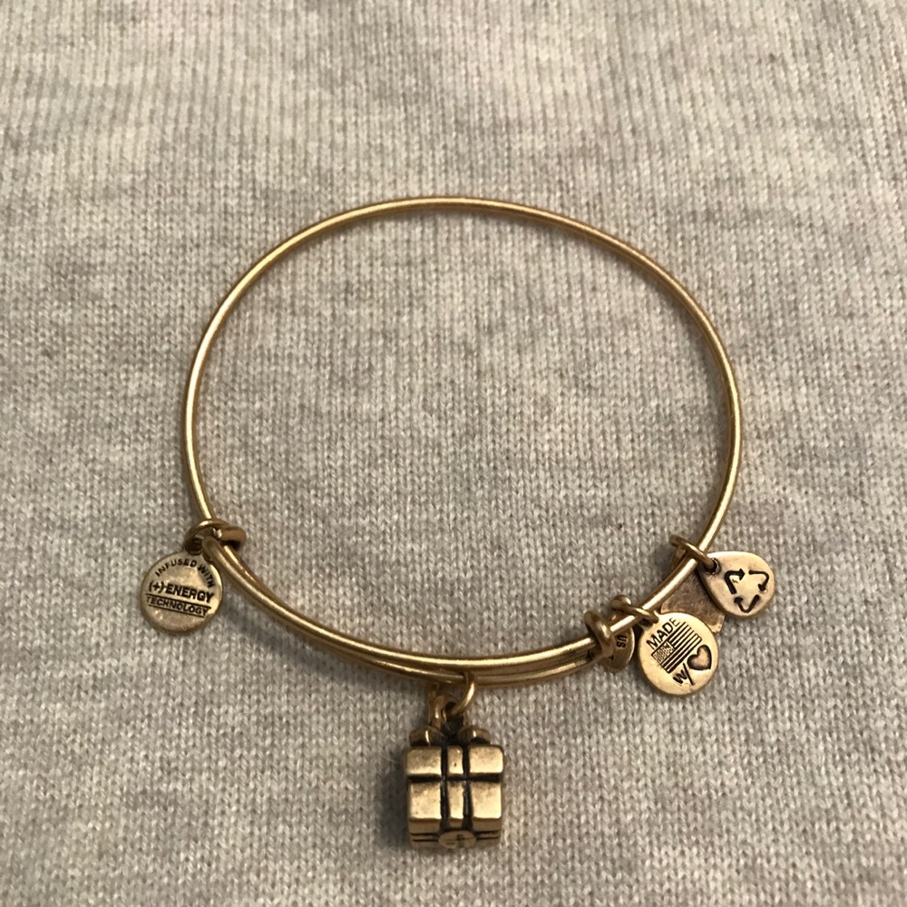 Alex and Ani Charity by Design Gift Box Bangle
