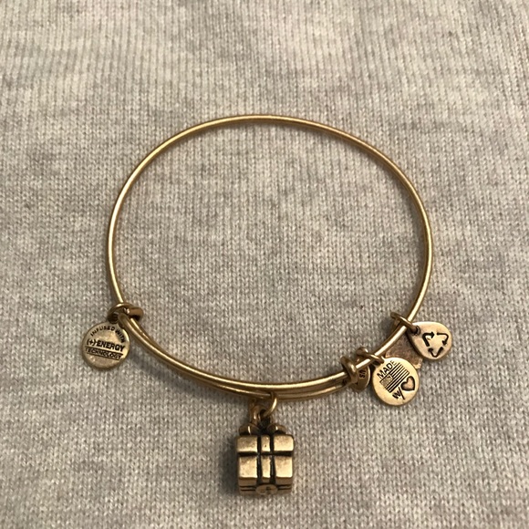 Alex and Ani Charity by Design Gift Box Bangle - Picture 1 of 2