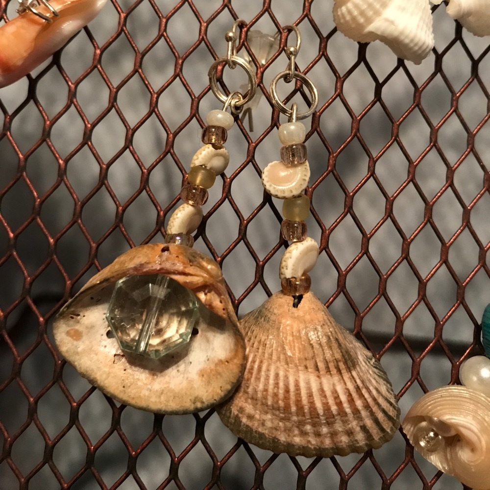 Beautiful Shell Earrings