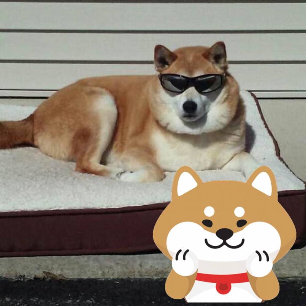 Meet your Posher, Jeannie