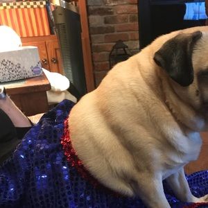 Meet your Posher, Allison