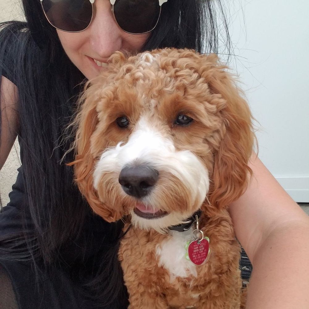 Meet your Posher, Kristen