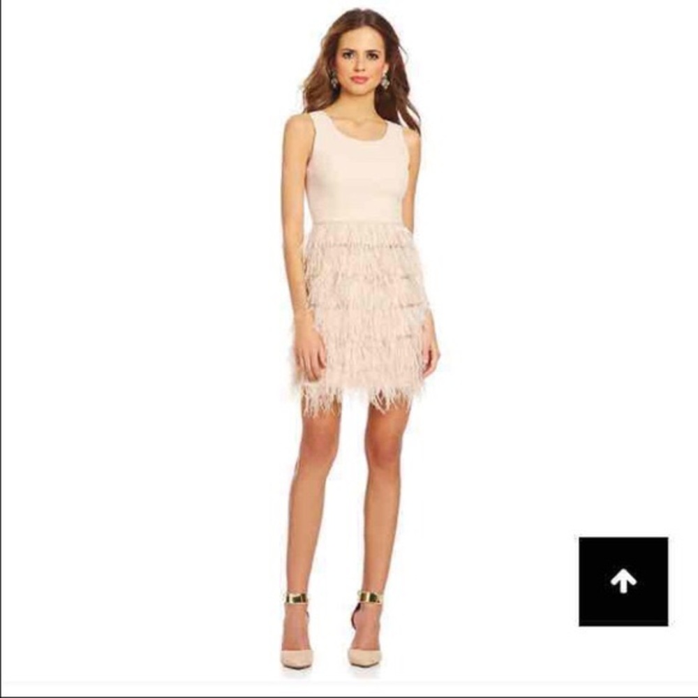 Gianni Bini Blush Pink Feather Dress