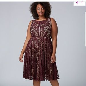 Lane Bryant lace dress