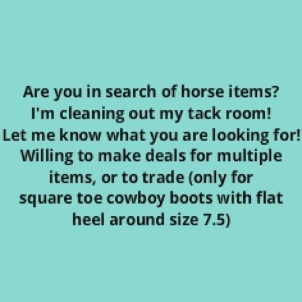 Lots of horse items for sale!
